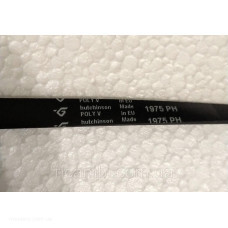 Ремень сушильной машины Hutchinson PolyV 1975 PH
